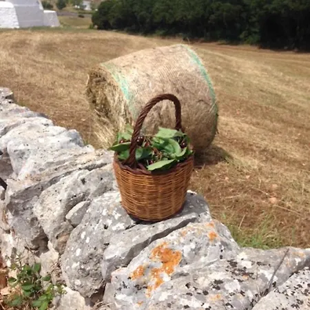 Borgo Trulli 1789