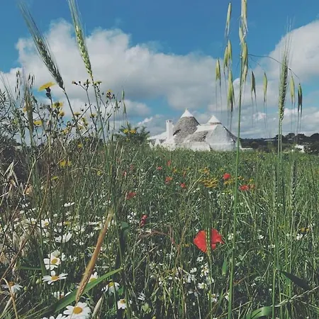 Borgo Trulli 1789 Bed & Breakfast 4*