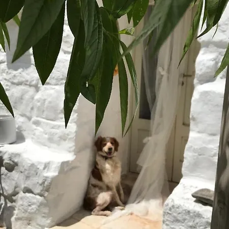 Borgo Trulli 1789 Bed & Breakfast 4*